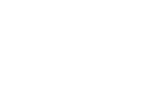 BORG WARNER