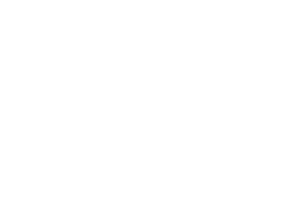 PEGATRON