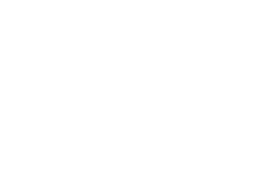 ZF