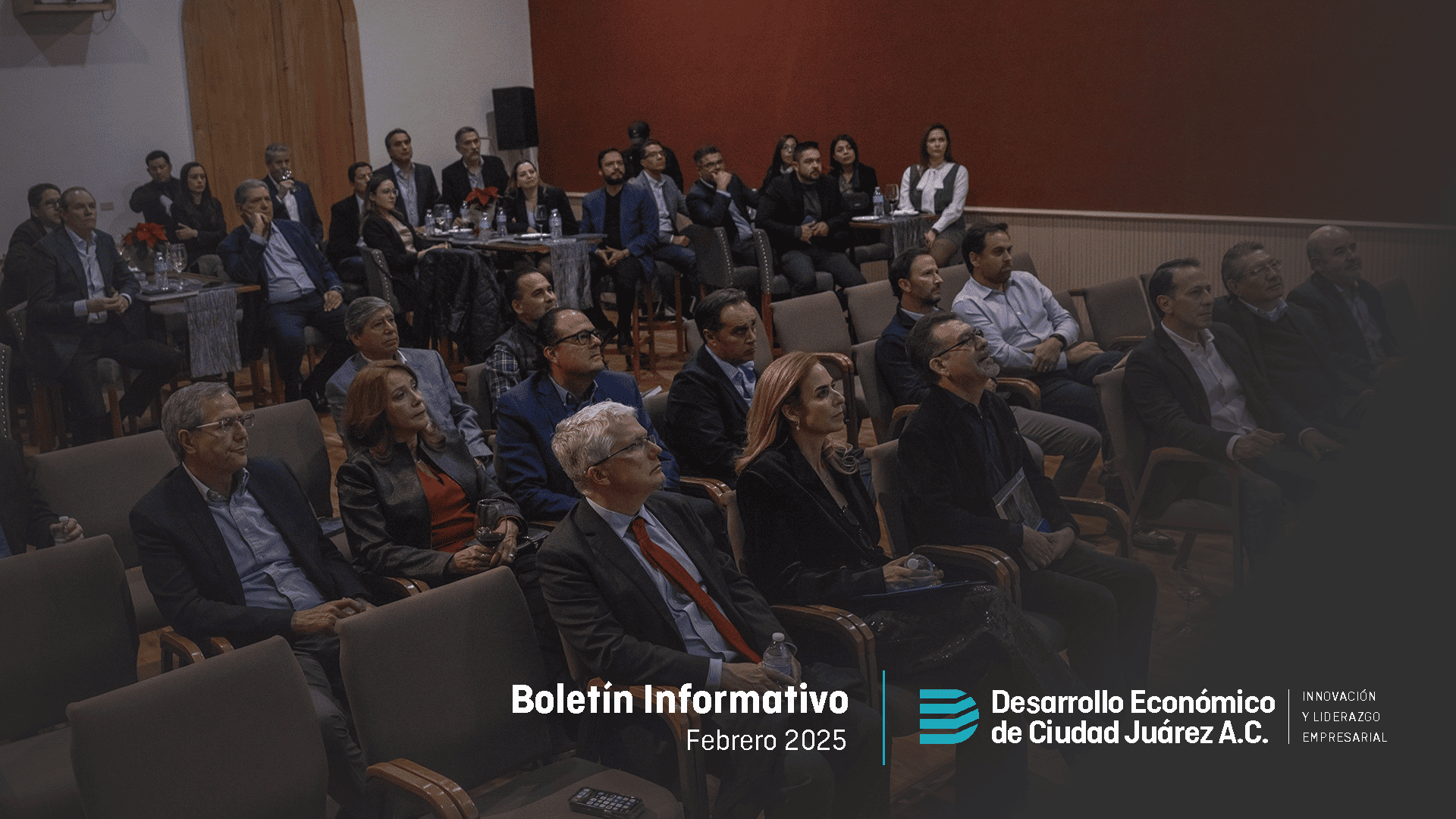 LinkedIn Newsletter - Febrero 2025